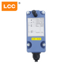 12V 24V LCC SAGA1-L4 4-button Single Speed Remote Control Sytem Tower Winch Radio Crane Remote Control